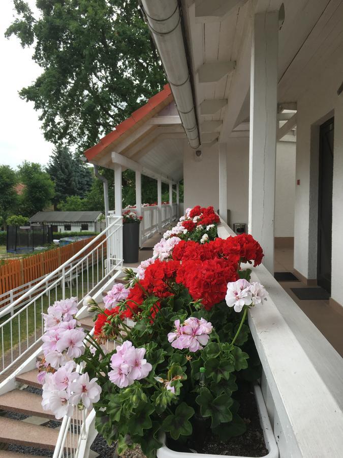 Pension Geranienhof Stahnsdorf Exterior foto